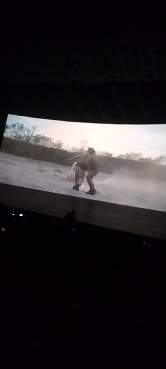 border 2 movie hall reaction