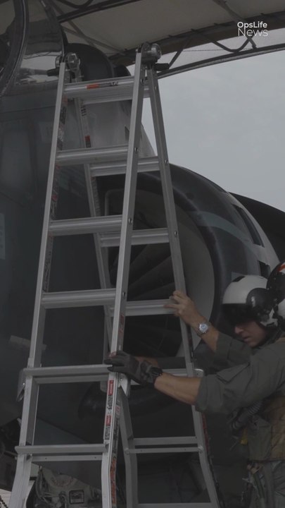 Why the Harrier Uses a Simple Ladder?