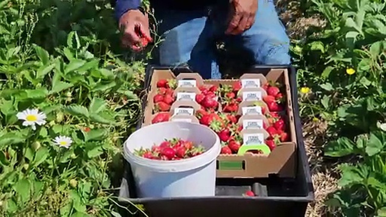 02 fev TOPO PG travailleurs etrangers logement