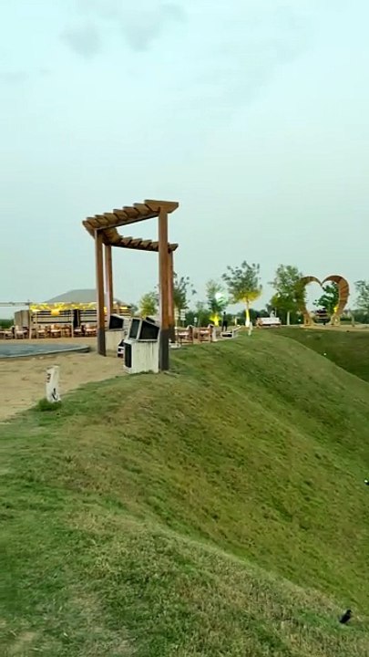 BALADE en dromadaire à Dubaï