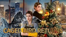 When the Caged Bird Returns [NEW] #FullMovie