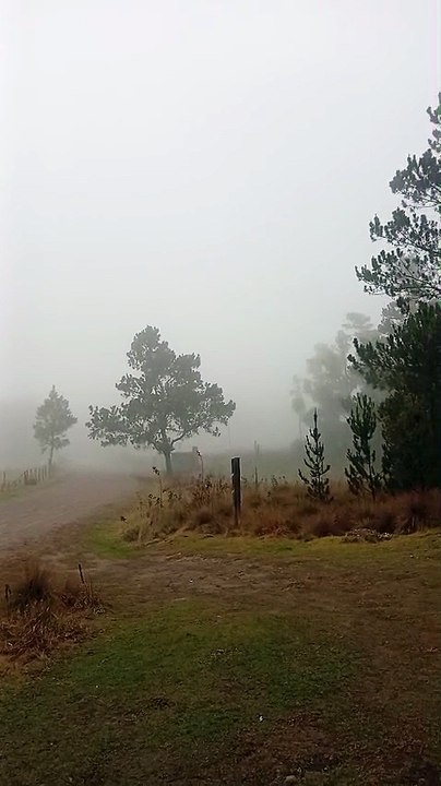 Si en la Capital hace frío, mira cómo amanecieron las zonas más heladas del país