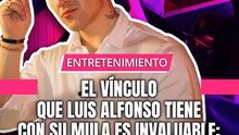 El cantante Luis Alfonso conmovió a sus seguidores al compartir un video donde aparece dándole una serenata privada a su mula.