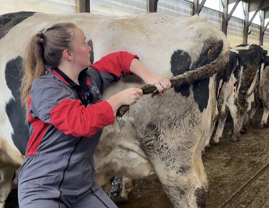 Annaëlle et Maëlys soulagent les animaux