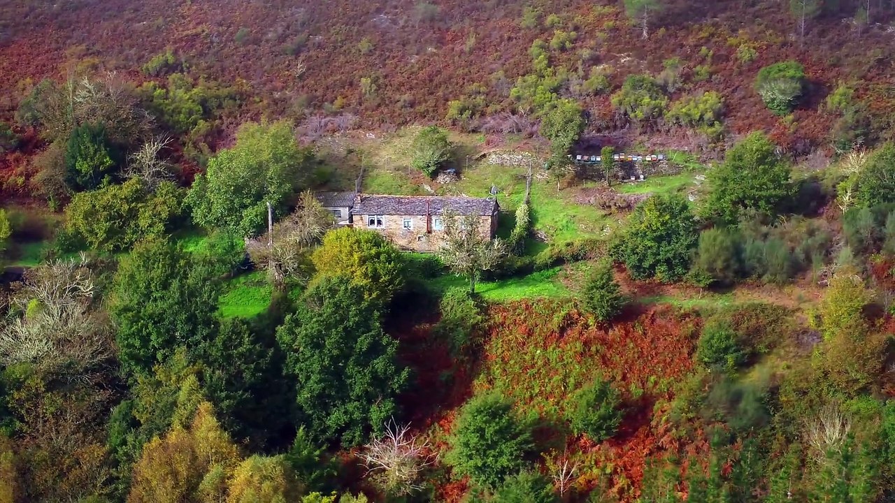 🚁Un Giretto Tra La Nebbia: Le Asturie In Drone! Sopra Soutelo 🌄 #3 (Parte 1)