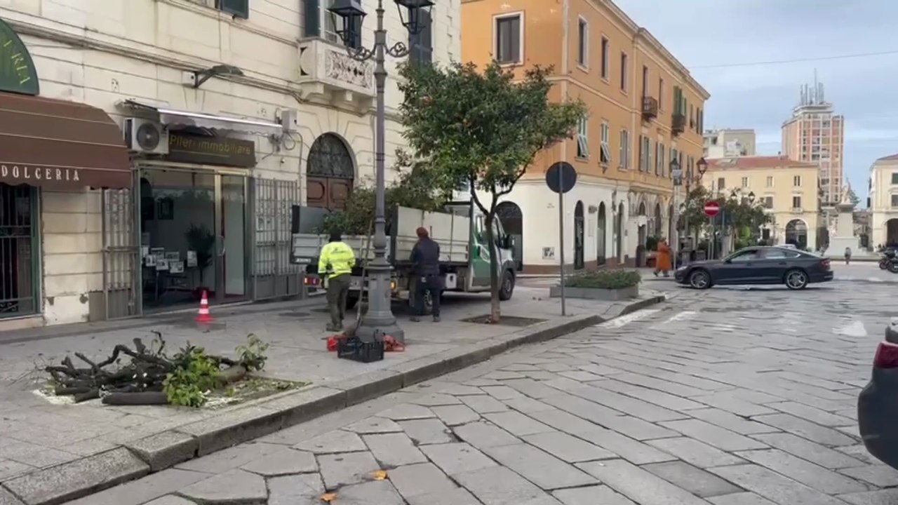 Sassari, riforestazione urbana in via Roma: abbattuti gli alberi di arancio