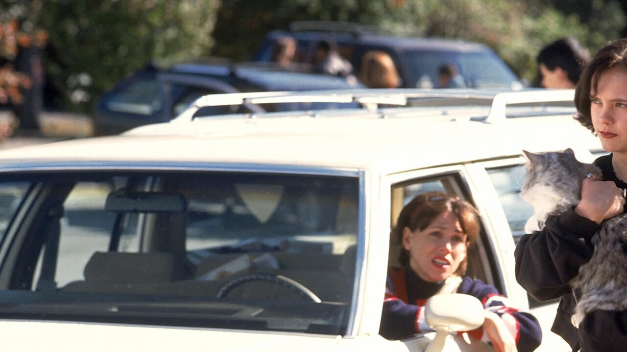 Le nouvel espion aux pattes de velours