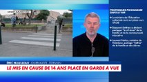 Éric Naulleau : «Ce sont des gamins qui auront du mal à s'en remettre»