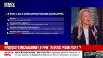 Réquisitions à l'encontre de Marine Le Pen: quels scénarios possibles pour 2027?