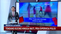 Sadis! Pria di Blora Tendang Kucing hingga Tewas, Polisi Selidiki Kasus Kekerasan Hewan | BERUT