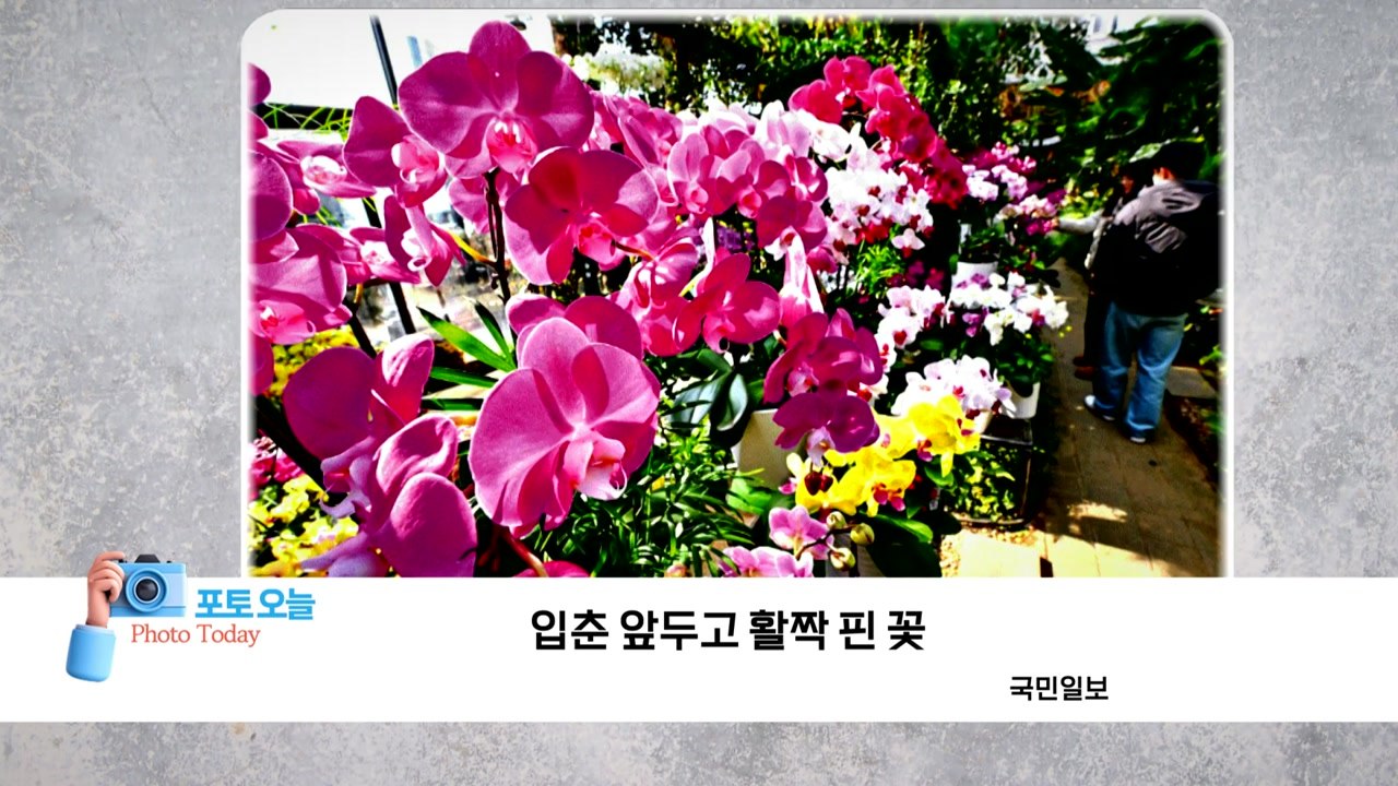 [포토오늘] 입춘 앞두고 활짝 핀 꽃 / YTN