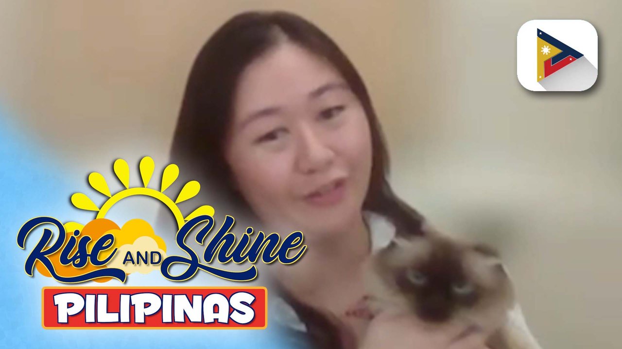 Wednesday Pet's Day | Cute and adorable cat na si Daijin, kilalanin!