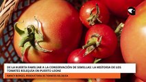 DE LA HUERTA FAMILIAR A LA CONSERVACIÓN DE SEMILLAS LA HISTORIA DE LOS TOMATES RELIQUIA