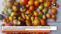DE LA HUERTA FAMILIAR A LA CONSERVACIÓN DE SEMILLAS LA HISTORIA DE LOS TOMATES RELIQUIA