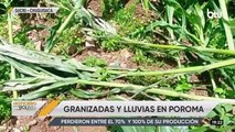 Más de 300 familias perdieron sus cultivos tras las intensas lluvias en Poroma, Chuquisaca