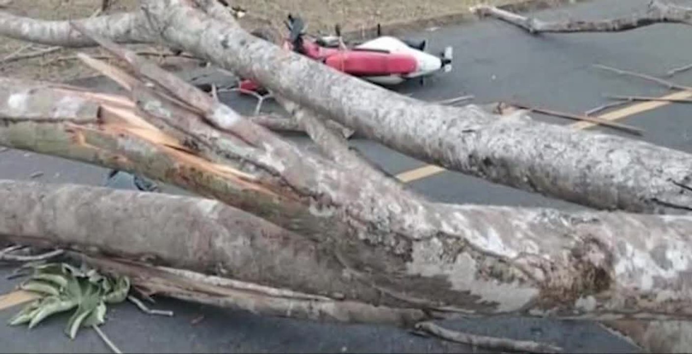 tn7-Fuertes vientos dejan dos personas muertas en Orotina y Atenas -030226