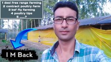 I am back |  desi murgi palan ka tarika | desi murgi form