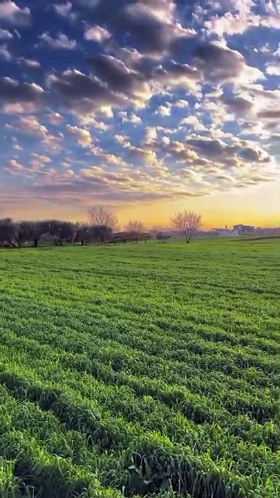 VID-2026020 3green  field