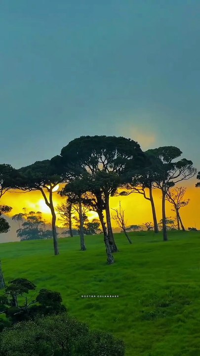 VID-2026  Sun ☀️🌞 beautiful