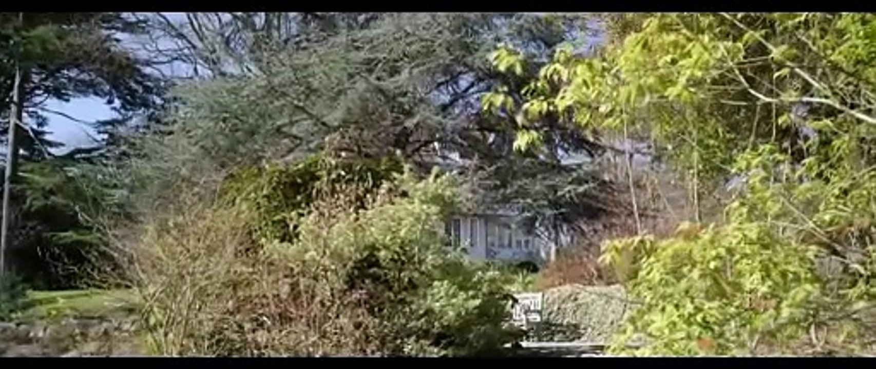 Traición - Trailer español