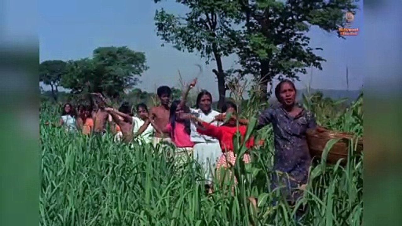 50 Years Of Bombay To Goa | Bombay To Goa Songs | Amitabh Bachchan | Mehmood | Aruna Irani | Jukebox