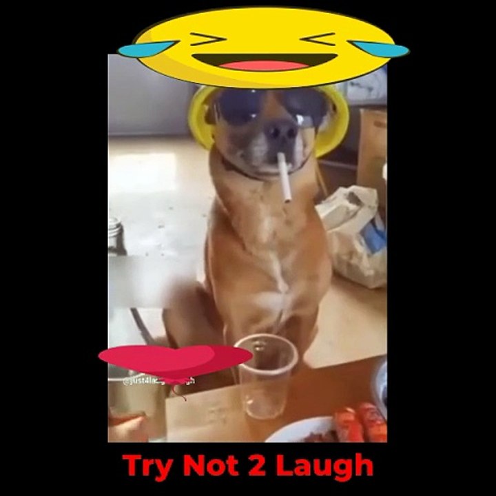 Try Not 2 Laugh