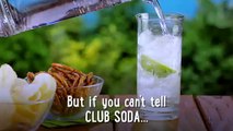 Seltzer vs. Club Soda vs. Tonic Water vs. Sparkling Water