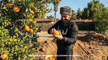 Make Boys Into Men - Hassan Daghe - New Daghestan 2026 Music Video - Mystic Meditation Records