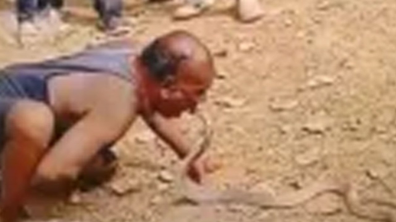 बालासोर में किंग कोबरा के साथ युवक का खतरनाक स्टंट