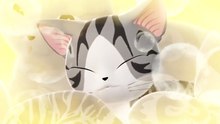 Chi's Sweet Cat Adventure's ｜ Episode 1 ｜ English Dubbed | Cineplex HD Visual | Aspix Official