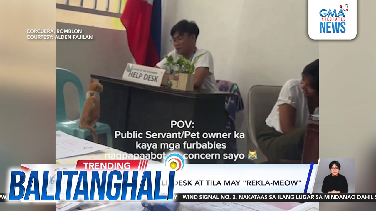 Pusa, lumapit sa help desk at tila may "rekla-meow" | Balitanghali