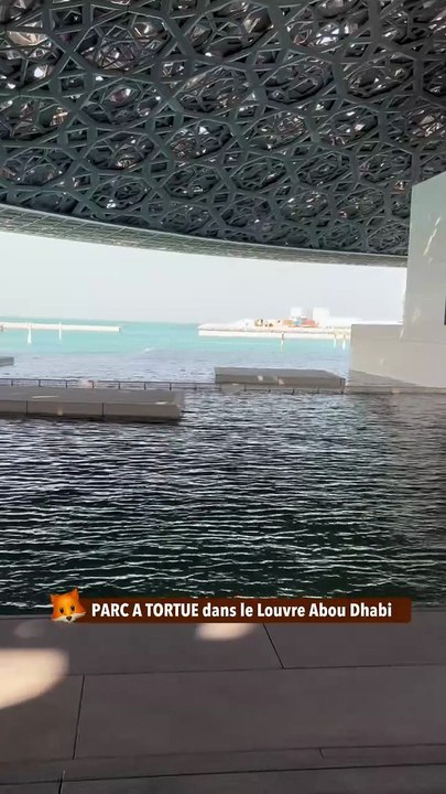 PARC A TORTUE dans le Louvre Abou Dhabi