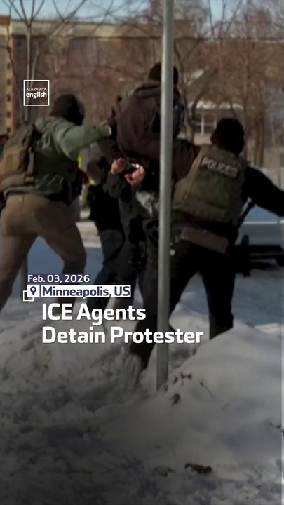 ICE Agents Detain Protester
