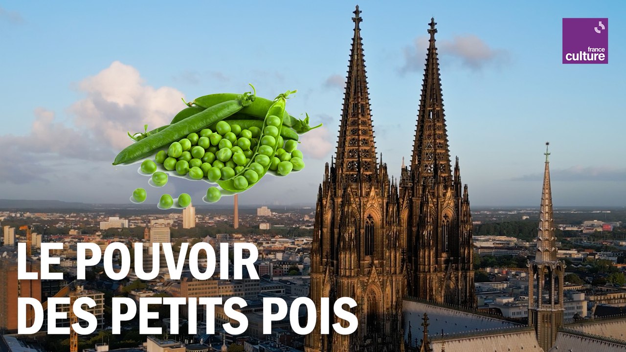 Les sources naturelles de l'architecture