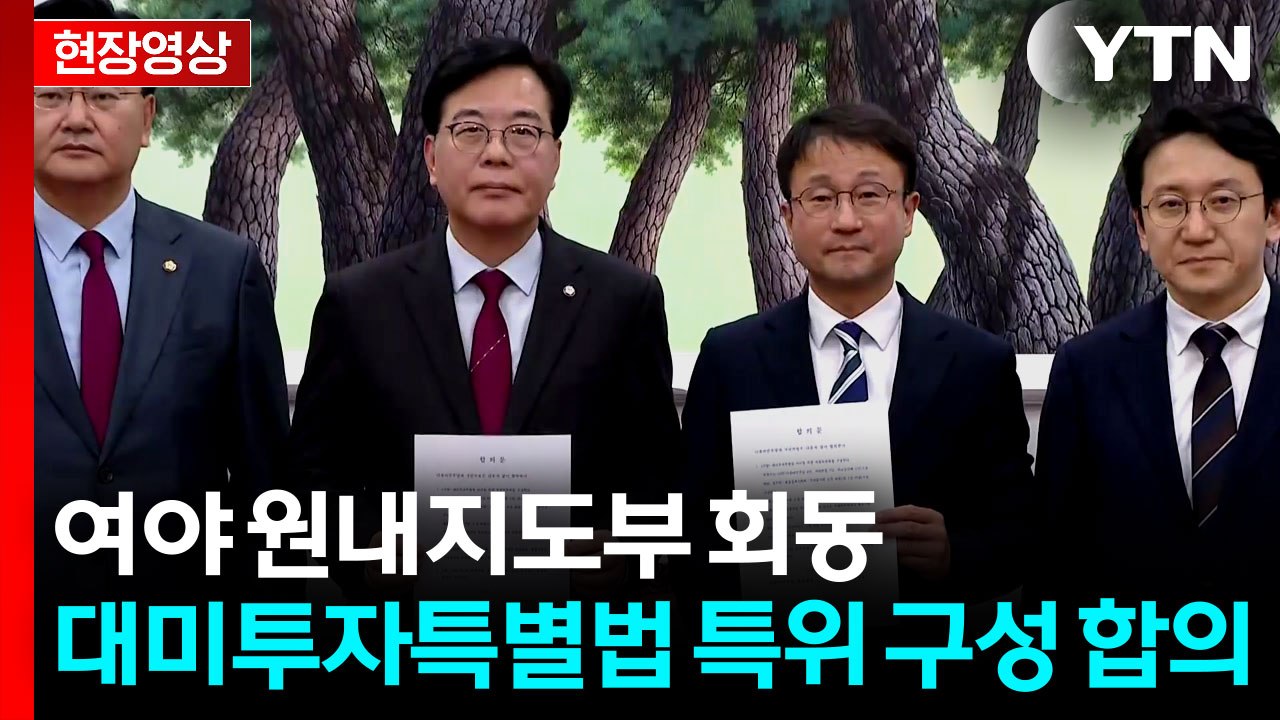 [현장영상+] "여야, 대미투자특별법 처리 특위 구성 합의" / YTN