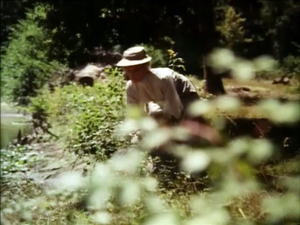 Marie Curie, une Femme Honorable - 1990 ( Partie 2 )