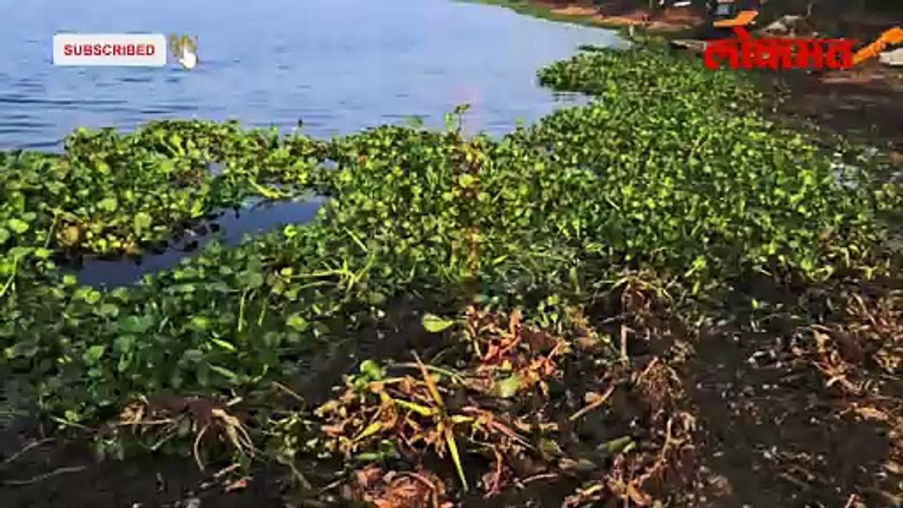 नागपूरकरांचे पर्यटन स्थळ की प्रदूषणाचे केंद्र? अंबाझरीचा श्वास गुदमरतोय!