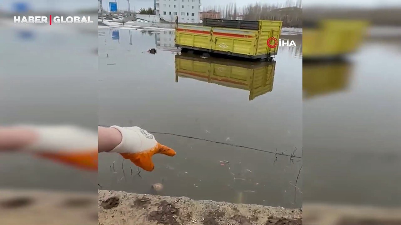 Eriyen kar suları taşkınlara sebep oldu, evler ve yollar sular altına kaldı