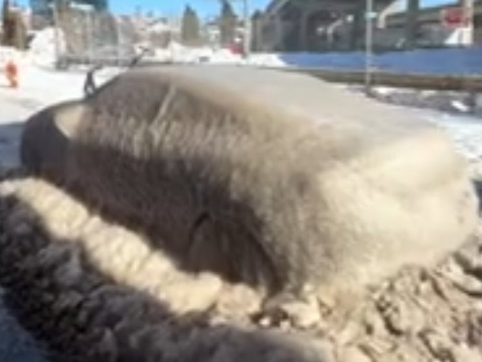 Wegen Wasserrohrbruch: Auto verwandelt sich in Eisstatue