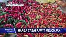 Harga Cabai Rawit Melonjak Tembus Rp 80 Ribu