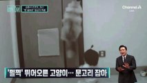 [김종석의 리포트]우리 꽤 잘 맞을지도?…“문 열어라” 환상의 짝꿍