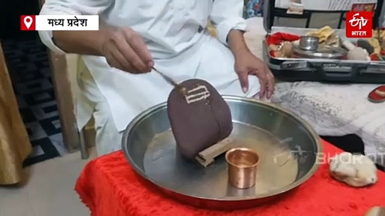 नर्मदा नदी के अनोखे पत्थरों का संसार, कोई पानी पीता है तो किसी का मुंह है बंदर और उल्लू जैसा