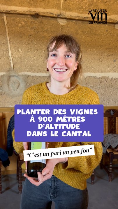 “C’est un pari un peu fou” : planter des vignes  à 900 mètres  d’altitude dans le cantal