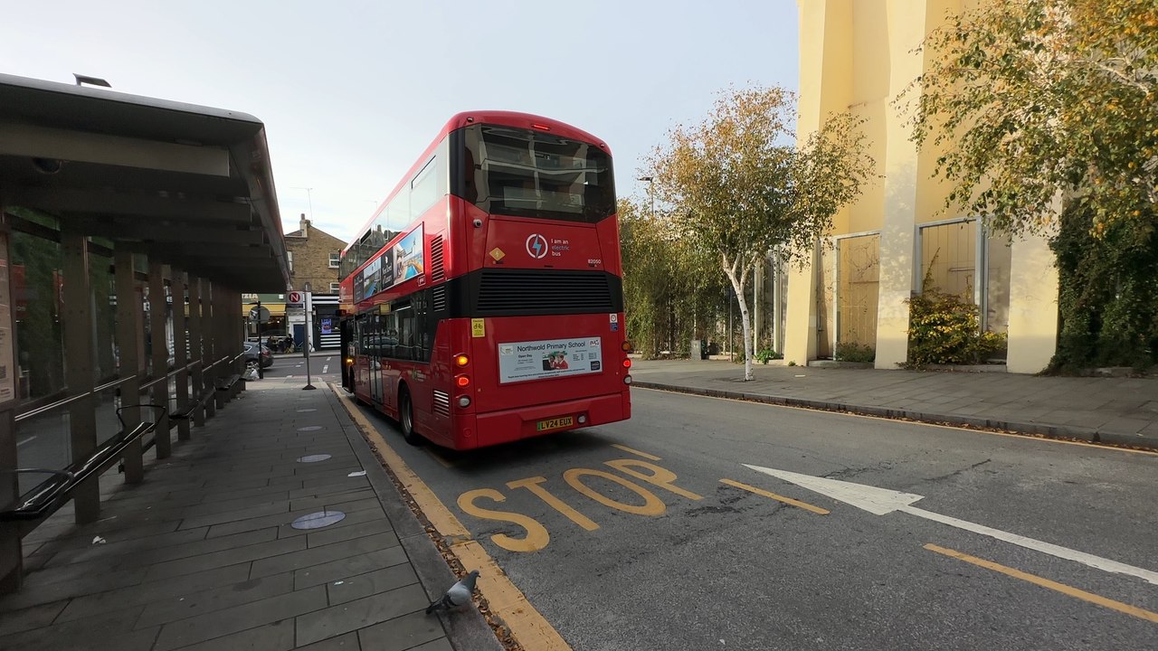 Over 130,000 people sign petition to reinstate bus driver fired for punching thief