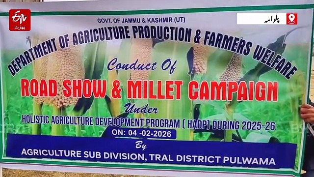 ترال میں باجرے کی پیداوار کے لیے محکمہ زراعت سرگرم