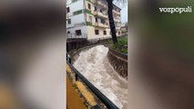 Agua saliendo de enchufes, derrumbes y un arroyo descontrolado: los estragos del temporal en Ubrique