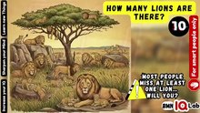 #YouMissedSome 😑🤦 How Many Lions Are There? 🦁