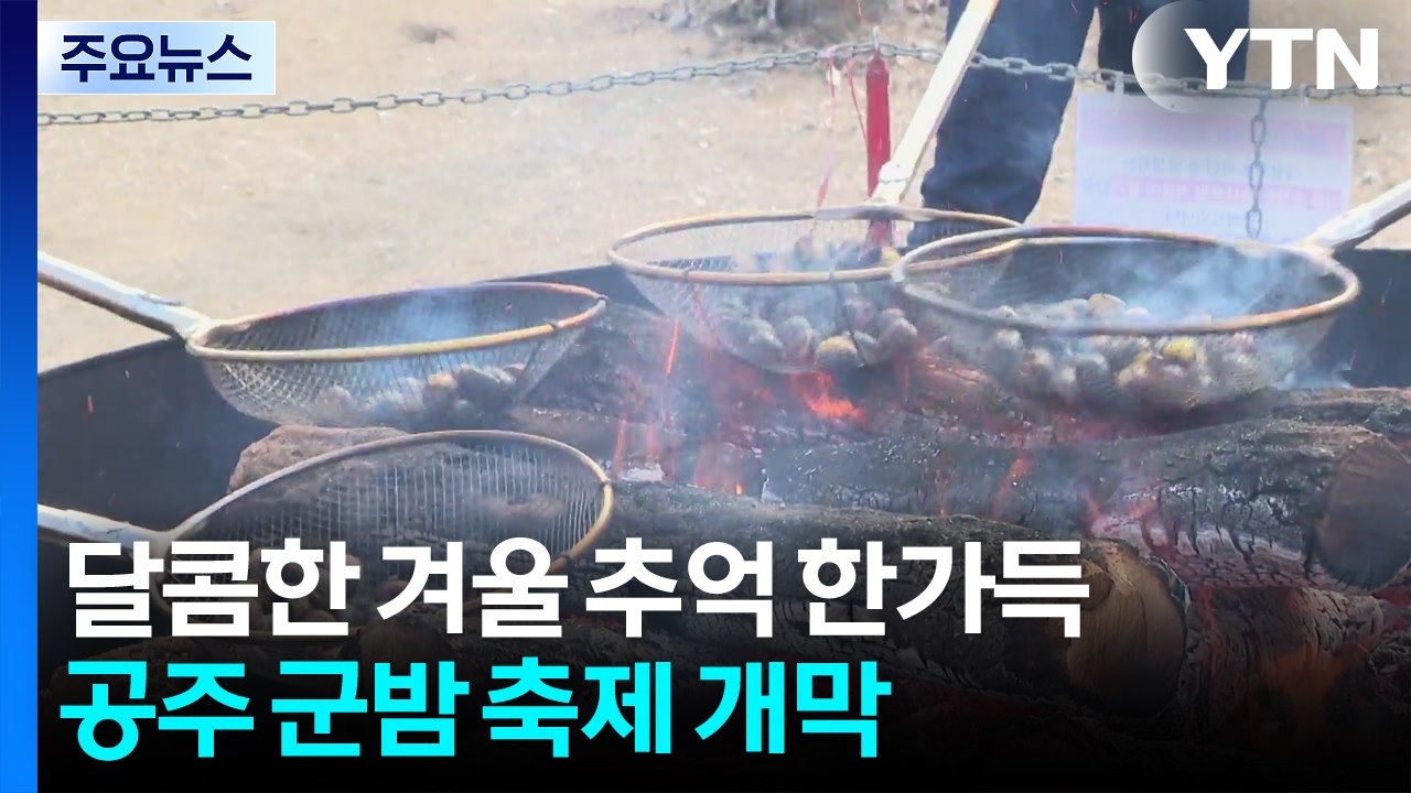 달콤한 겨울 추억 한가득...공주 군밤 축제 개막 / YTN