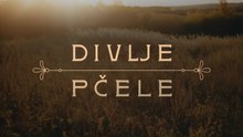 Divlje pčele Episode 63 | English Sub