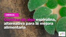 Gomitas de alga espirulina, alternativa para la mejora alimentaria